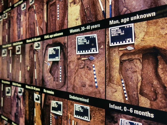 Part of Excavation of the African Burial Ground, New York City