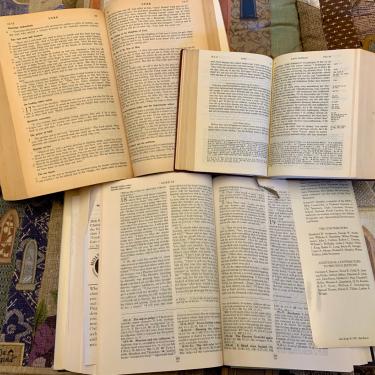 Bibles for Lectio