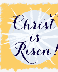 For All Our Sisters and Brothers Who Celebrate Today