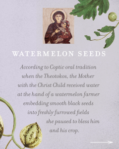 Sherry Watermelon Seeds