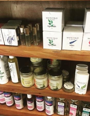 Sister Theonymphi WOW 2c