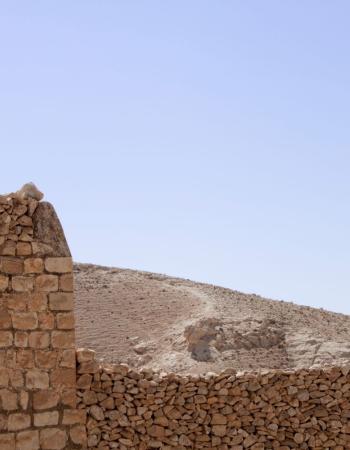 Desert Mother environment