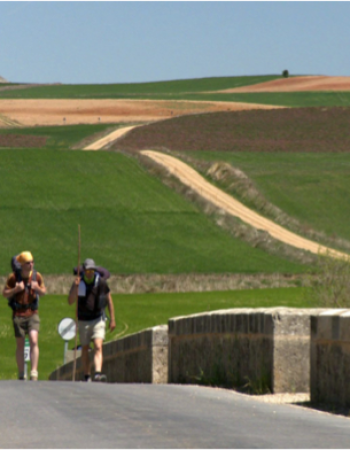 Pilgrims on the Camino