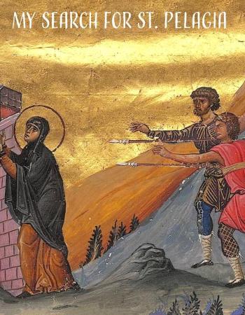 My Search for Pelagia graphic