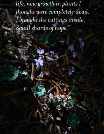 Susan Harvey shards graphic