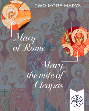 Icon Excerpt