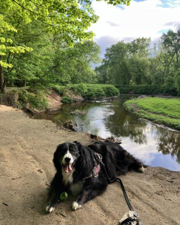 Niki on a walk with her dog.