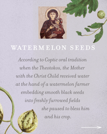 Sherry Watermelon Seeds