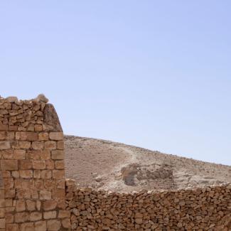 Desert Mother environment